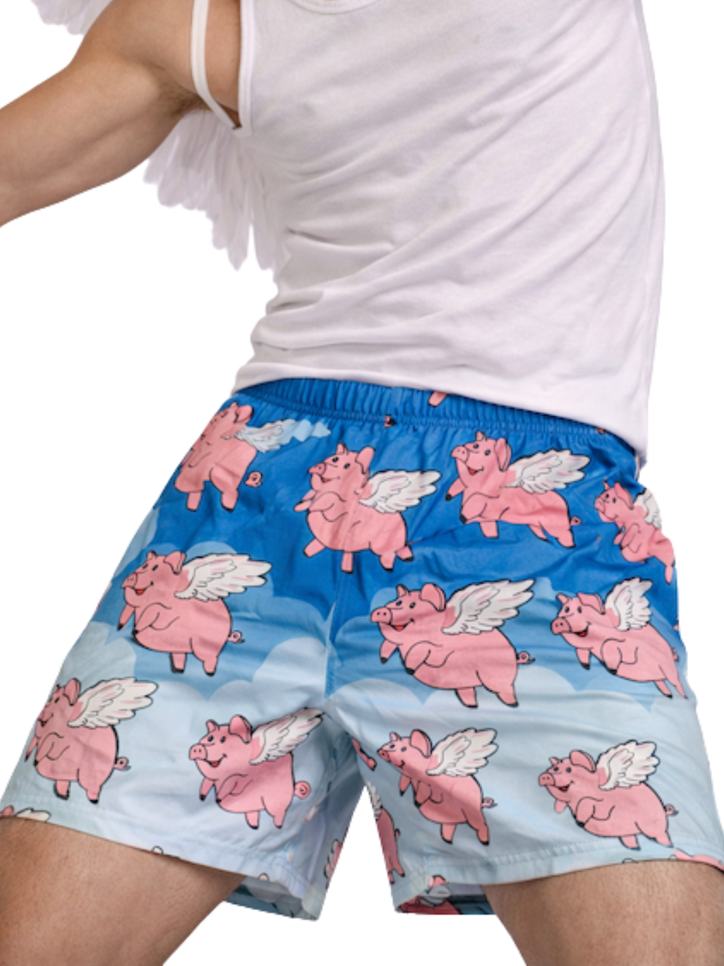 Magic Boxers - Peculiar Pasture - 48ct Counter Top Display Box